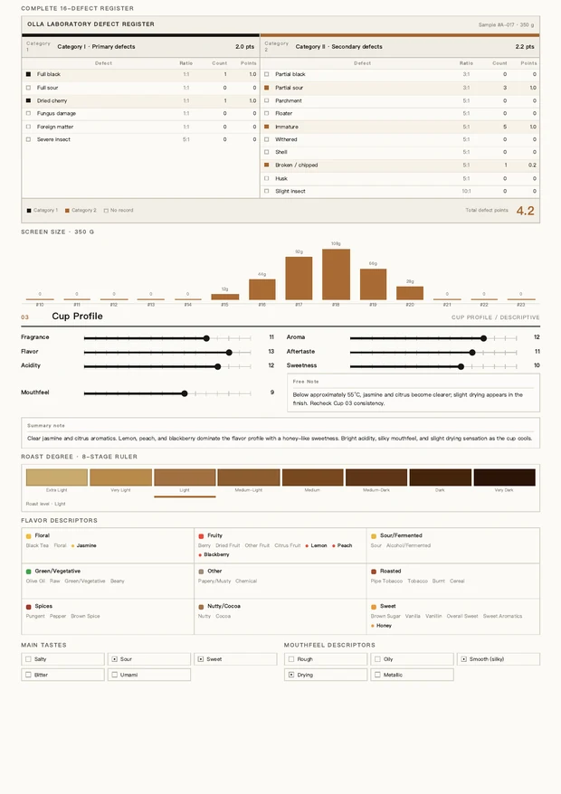 OLLA report sample — Second page — cup descriptive