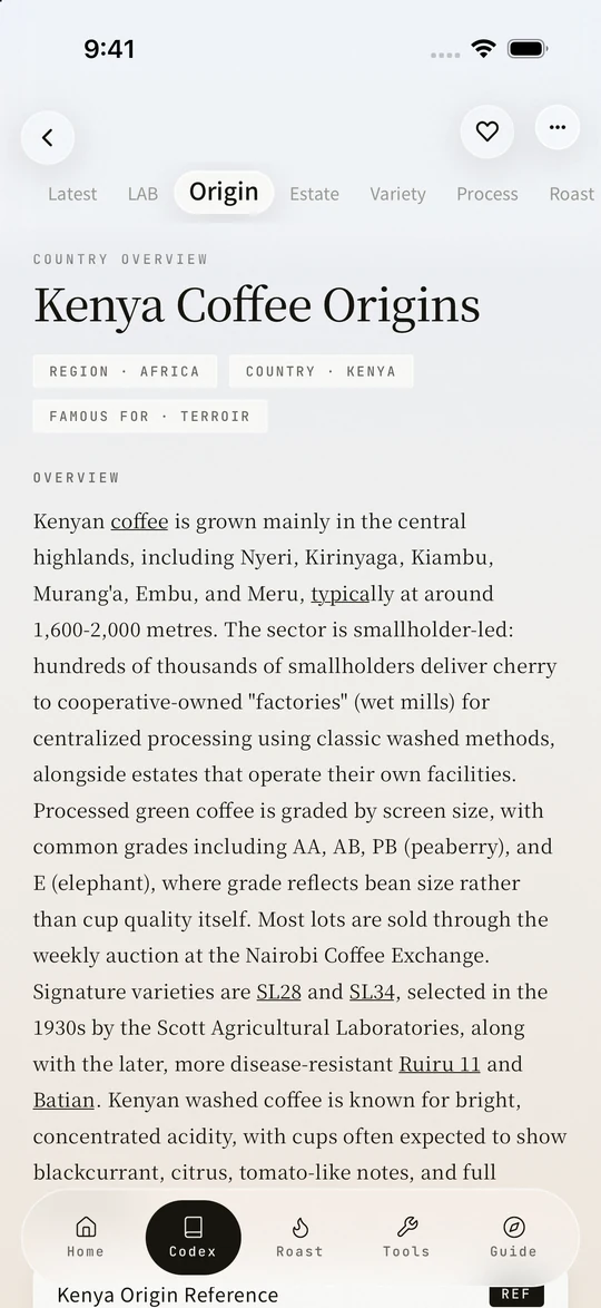 OLLA Codex Kenya origin entry on iPhone 17 Pro Max